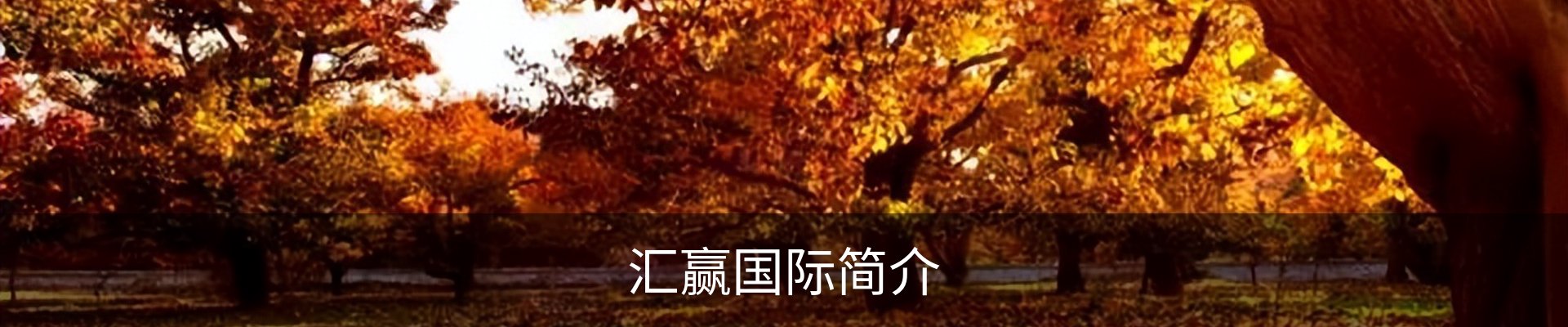 汇赢国际简介